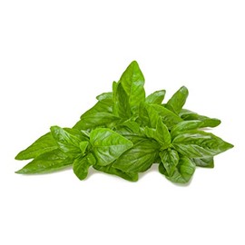 Basil, Genovese Herb Seeds - Non-GMO - 0.5 Grams, Approximately 300 Seeds