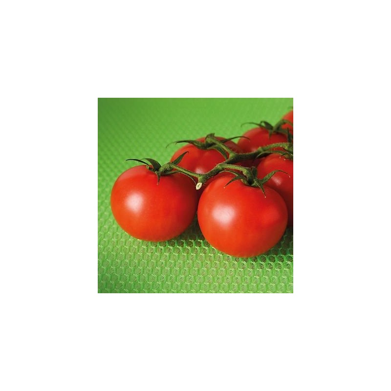 Lakeland Fruit and Vegetable Preserving Cushion - Prevents Bruising and