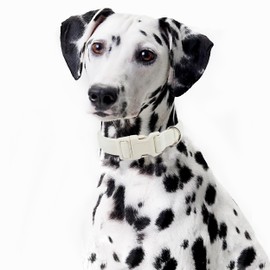 Cotton Hemp Dog Collar Adjustable, White Dog Collar Soft Natural Fabric with Quick Release, Cute Wedding Puppy Necklace for Small Medium Large Dog, White-M