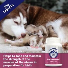 Dorwest Raspberry Leaf Tablets for Dogs And Cats, 200 Tablets, Pregnancy Support For Pets – For Natural Hormonal Balance and Phantom Pregnancies