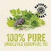 Natural Planet Lemongrass Essential Oil 15ML Natural 100% Pure &