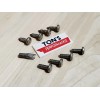 Ton's Performance VW Anti Theft Auto License Plate Screws Front