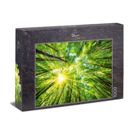 Ulmer Puzzleschmiede - Puzzle "Light and Shadow" - Atmospheric forest puzzle with 1000 pieces - The sun shines through the tree peaks at a vertical view from the forest floor to the sky