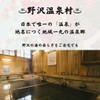Japanese famous hot spring bath salts gift "Kitashinshu Nozawa no