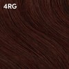 COLORCHARM Permanent Liquid Hair Color for Gray Coverage| 4RG Dark