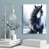 Twisted R Design 11x14 Black and White Winter Horse Canvas