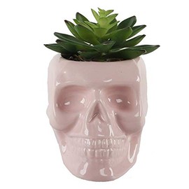 Flora Bunda 4.5X3.5 Ceramic Sugar Skull Succulent, PK