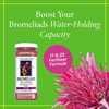 Grow More Bromeliad Tillandsia Food (17-8-22) - 1.25lbs of Water