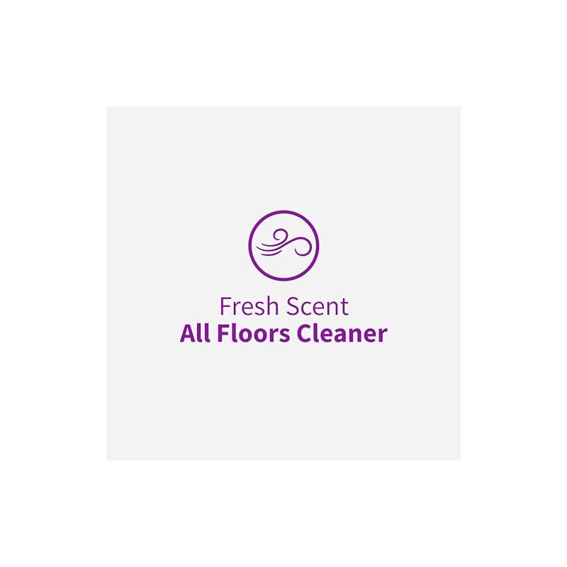 Rejuvenate Rejuvenate High Performance All-Floors and Hardwood No Bucket Needed