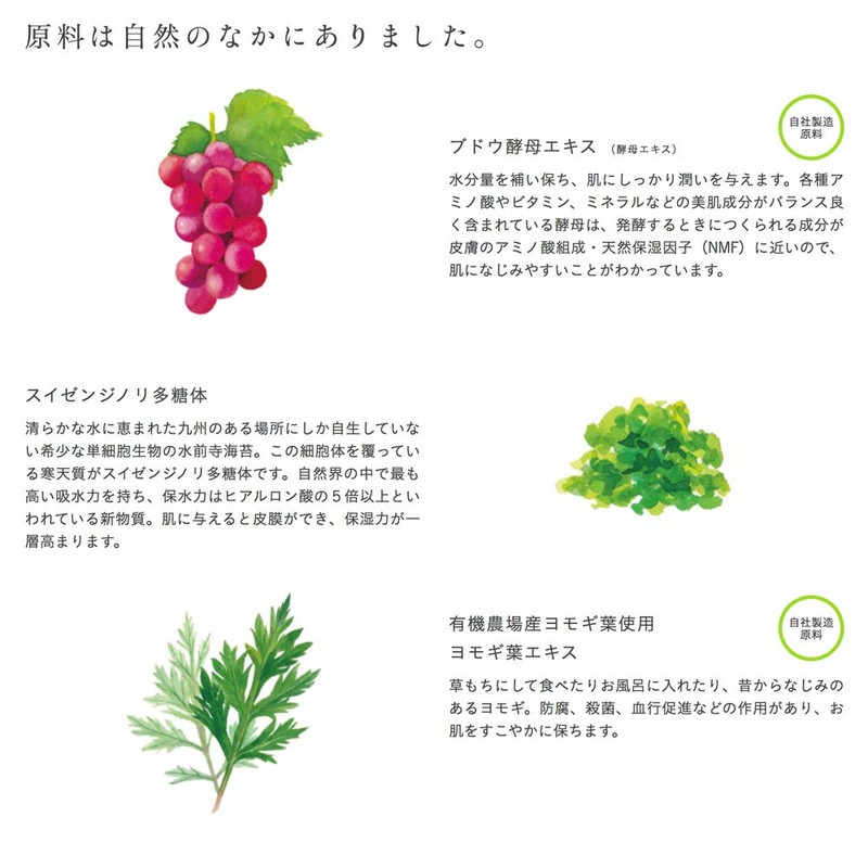 Sorabudo Organic Botanic Lotion 4.1 fl oz (120 ml)