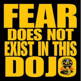 Unbranded Cobra Kai (Karate Kid) Logo Type Fear Does Not Exist in This DOJO Die-cut MAGNET