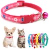 Hot Pink Kitten Collar with Bell, Flower Print Girl Puppy