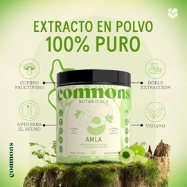Adaptógenos - AMLA - Extracto Puro en Polvo 100 gr - Suplemento Natural - Tónico para la Piel y Cabello - Vitamina C - Antiinflamatorio y Antioxidante
