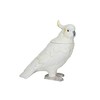 Creative Co-Op, White Ceramic Cockatoo Jar, Yellow, Medium