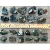 GAF TREASURES Wholesale Raw Tree Agate Crystals, Natural Tree Agate,