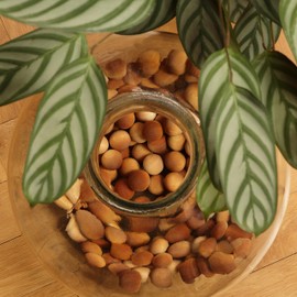 Hassett Green London Hassett Green London - Cinnamon - Scented Wooden Balls Pack of 100 - Alternative to Pot Pourri, Diffusers, Sachets and Drawer Liners