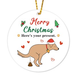 HEYINSHEN Funny Dog Christmas Ornament Dog Ornament for Christmas Tree Funny Christmas Ornaments 2024 Ceramic Pet Dog Christmas Tree Decorations Xmas Gifts for Dog Lovers Dog Dad Dog Mom