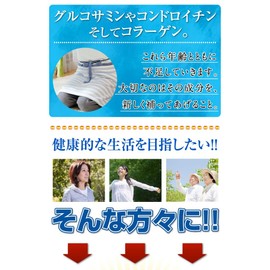 [Set of 3] plenty large capacity about six months Minutes Glucosamine + kondoroitin + Collagen 540 Grain