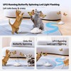 Pet Prime Self Moving Cat Toy for Indoor Cats, Electronic