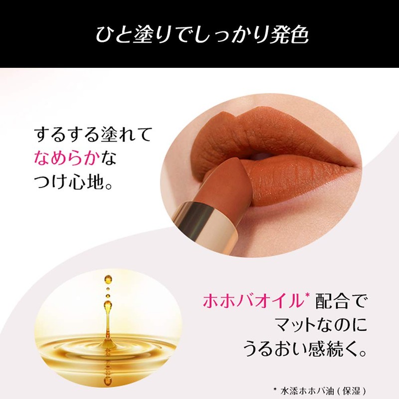 L'Oreal Paris Colorish M Matte N 249 Dressy Pink