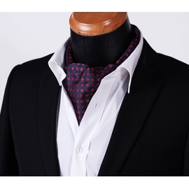 HISDERN Men's Tie Scarf Floral Paisley Ascot Tie Wedding Business Neckerchief and Pocket Square Set, Z01 - Navy & Red