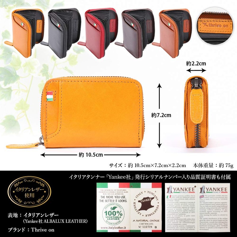 Thrive on Men's Card Case, Skimming, Large Capacity, Women's Credit