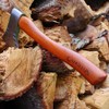 Camillus CM19360: Teca Hatchet