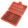 100 PIECE SCREWDRIVER SECURITY BIT SET