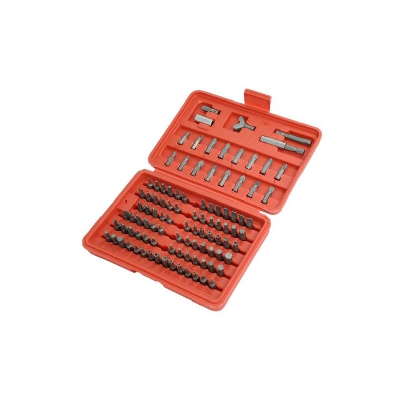 100 PIECE SCREWDRIVER SECURITY BIT SET