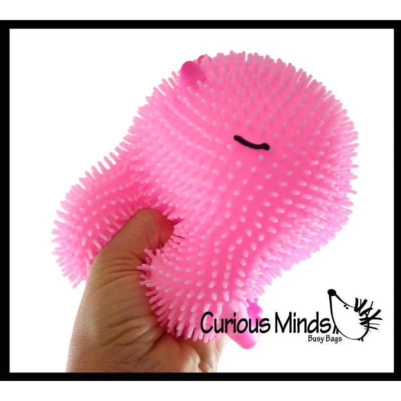 Not Specified 1 RANDOM Capybara 6" Puffer Air- Filled Squeeze