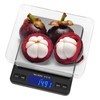 Weighmax Duo Series W-7800 High Precision 0.1g/0.01oz 3000g Digital Pro