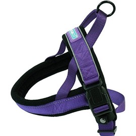 DOG & CO Norwegian Performance Harness, Medium, Purple