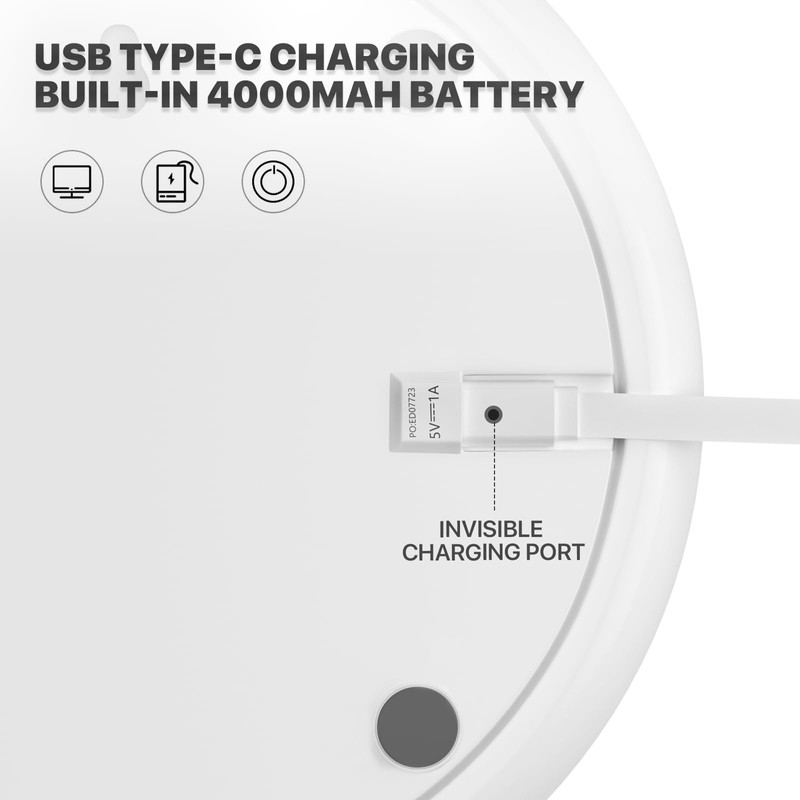 mollie 8-Inch Small Rechargeable USB Desk Fan Battery Operated with