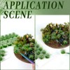 SOFPLATE 1 Box 20Pcs Model Train Scenery Grass Tufts Miniature