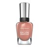 Sally Hansen Complete Salon Manicure Nail Polish, Colour 250, Mudslide