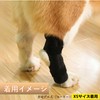 Pet Supporter, Elastic Velcro (Spring Included) Dogs, Rear Legs Dislocation,