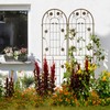 2 Pack Metal Garden Trellis - 19.7"W x 71"H Rustproof