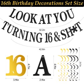 FASOTY 16th Birthday Decorations