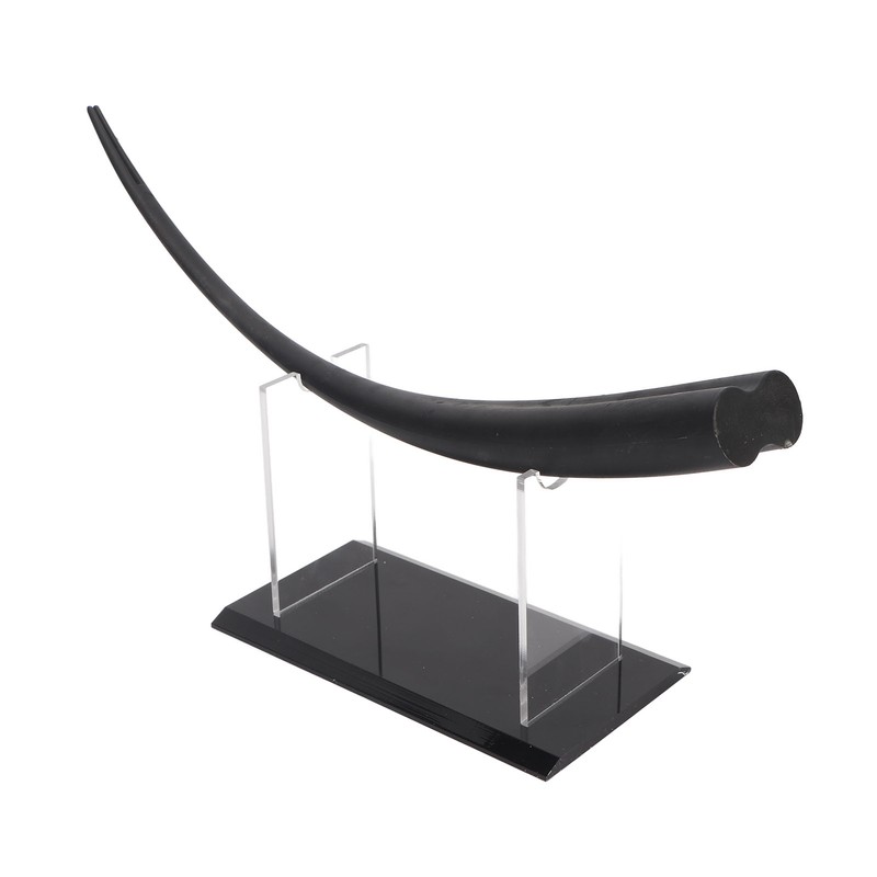 Large Eyelash Teaching Diaplay Model Thicken Flat Buttom Double Tip