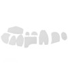 Bear Quilting Template Rulers Acrylic Accurate Rugged Memory Bear Template