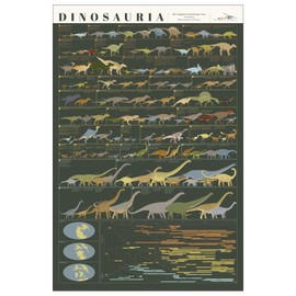 Pop Chart | Dinosauria | Large 24" x 36" Dinosaur Poster | Dinosaur Room Decor for Home or Classroom | Educational Chart of Dino Evolution | 100% Made in The USA
