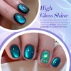 Born Pretty Cat Magnetic Eye Gel Nail Polish Glitter Auroras