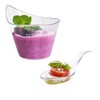 100PCS Plastic Spoons, 4.7Inch Disposable Appetizer Spoons, Heavy Duty Plastic
