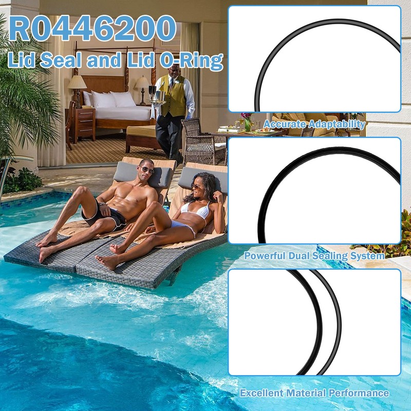 R0446200 Lid Seal Gasket & O-Ring Compatible with Jandy JEP,