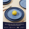 Pokini Stoneware Dinnerware Sets, Ceramic Plates and Bowls Set, Microwave