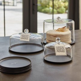 Santa Barbara Design Studio Food Cover Dome Lid Acrylic Food Screen Protector, Large, Clear