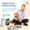 FluentPet Speak Up Get Started Kit with Clearer Upward-Facing Sound