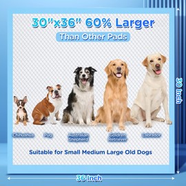 Gimars XXL 30“x36” Thicken 6 Layers Ultra Absorbency Dog Pee Pad Extra Large 3S Quick Dry Leakproof Disposable Urine Pads for Dogs, Cats, Rabbits Pets