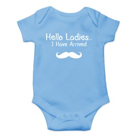 Hello Ladies I Have Arrived - Coming Home Outfit Baby Shower Gift Cute Funny Baby Romper (Light Blue, Newborn)