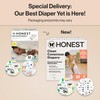 The Honest Company Clean Conscious Diapers for Delicate Skin |